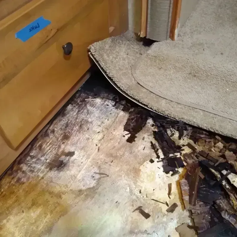 Wood Floor Water Damage in Wynnewood, OK